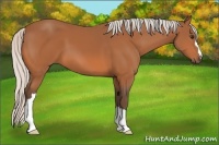 Horse Color:Silver Bay 