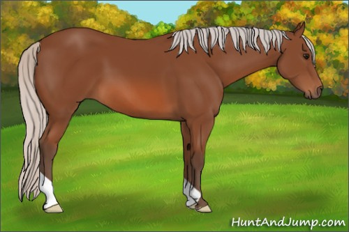 Horse Color: Silver Bay 