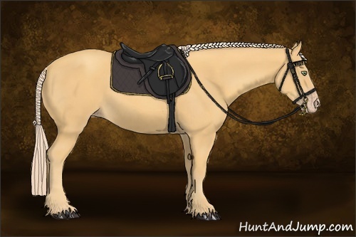 Horse Color:Gold Cream Champagne 