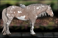 Horse Color:White Spotted Silver Black Ice Frame 