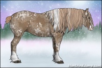 Horse Color:White Spotted Chocolate Palomino Ice Splash 