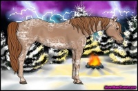 Horse Color:Chestnut Ice 