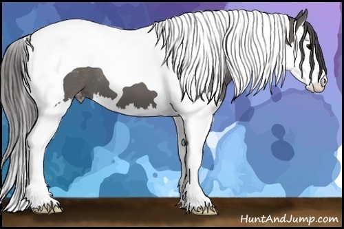 Horse Color: Grullo Splash Tobiano Varnish 