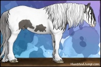 Horse Color:Grullo Splash Tobiano Varnish 