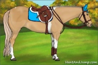 Horse Color:Palomino Tobiano 