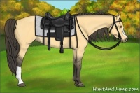 Horse Color:Buckskin Dun 