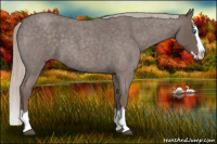 Horse Color:Silver Blue Roan Splash 