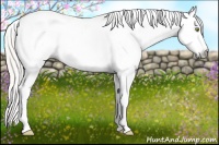 Horse Color:Gray White Spotted Silver Bay Roan Pearl Dun Frame Blanket 