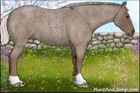 Horse Color:Silver Blue Roan 