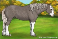 Horse Color:Silver Blue Roan Splash
