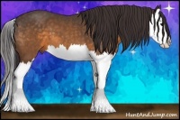 Horse Color:Buckskin Splash 