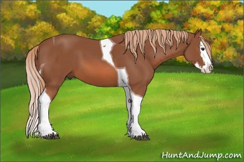 Horse Color: Liver Chestnut Splash Tobiano 
