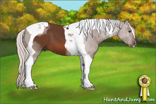 Horse Color: Silver Brown Tobiano 