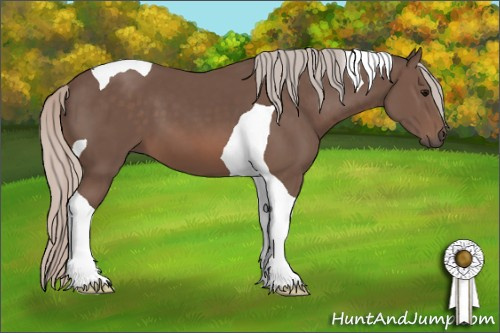 Horse Color: Silver Black Tobiano 
