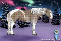 Horse Color:Plaid Silver Black Splash Tobiano