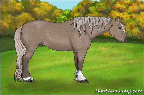 Horse Color: Silver Brown Dun Tobiano 