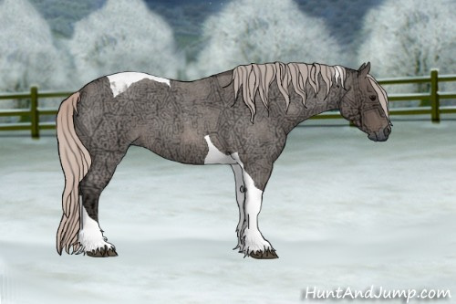 Horse Color: Silver Blue Ice Roan Tobiano 