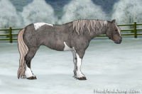 Horse Color:Silver Blue Ice Roan Tobiano 