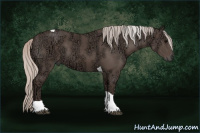 Horse Color:Silver Brown Ice Tobiano