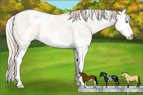 Horse Color: White Spotted Perlino Dun Splash 