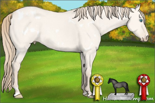Horse Color: White Spotted Perlino Dun 