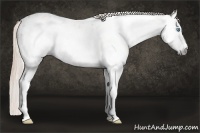 Horse Color:Gray Smoky Creme Blanket 