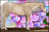 Horse Color:Chocolate Palomino Pearl 
