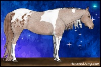 Horse Color:Chestnut Sabino Tobiano Varnish 
