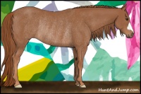 Horse Color:Chestnut Rabicano 