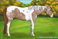 Horse Color:Chestnut Ice Sabino Tobiano 