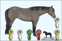 Horse Color:Unknown 