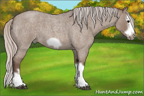 Horse Color: Silver Grullo Roan Splash Frame 