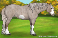 Horse Color:Silver Grullo Roan Splash Frame 