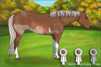 Horse Color:Silver Bay Tobiano 