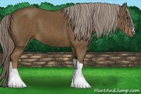 Horse Color:Chocolate Palomino 