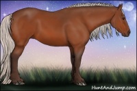 Horse Color:Silver Bay 