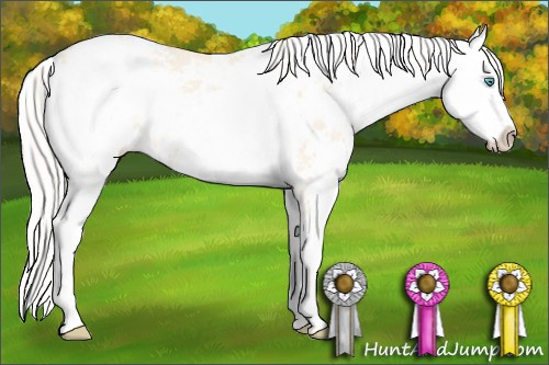 Horse Color: Cremello Dun Sabino 