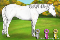 Horse Color:Cremello Dun Sabino