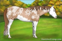 Horse Color:Liver Chestnut Ice Pearl Splash 