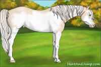 Horse Color:Silver Classic Champagne Roan Dun Splash Frame