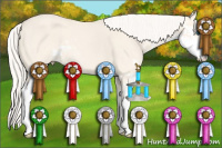 Horse Color:Cremello Dun Sabino