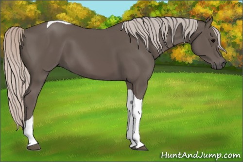 Horse Color: Silver Black Tobiano 