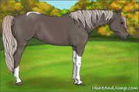 Horse Color:Silver Black Tobiano 