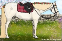 Horse Color:Buckskin Pearl Dun 