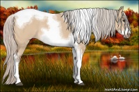 Horse Color:Silver Bay Dun Sabino Tobiano Frame Rabicano 