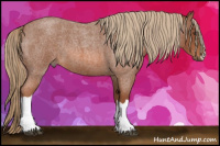 Horse Color:Liver Red Roan 