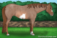 Horse Color:Liver Red Roan Frame 