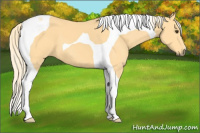 Horse Color:Palomino Tobiano 