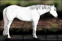 Horse Color:Gray Chestnut Sabino Splash Tobiano Frame 