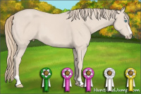 Horse Color:Smoky Creme Sabino 